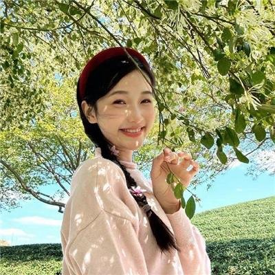 红狐